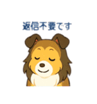 色々なシェルティのスタンプ（個別スタンプ：40）