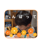 K＆S No.2（個別スタンプ：6）