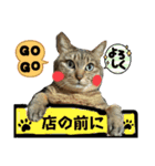 愛しのみーこ仕事編（個別スタンプ：6）