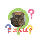 愛しのみーこ仕事編（個別スタンプ：9）