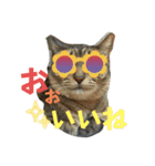 愛しのみーこ仕事編（個別スタンプ：15）