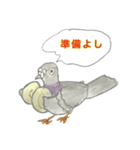 めもっ太君鳩と遊ぶ1（個別スタンプ：3）