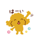 トイプードル_ハロースタンプ（個別スタンプ：1）