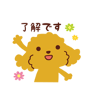 トイプードル_ハロースタンプ（個別スタンプ：2）