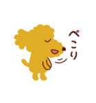 トイプードル_ハロースタンプ（個別スタンプ：4）