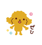 トイプードル_ハロースタンプ（個別スタンプ：9）