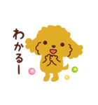 トイプードル_ハロースタンプ（個別スタンプ：12）