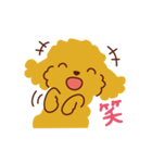 トイプードル_ハロースタンプ（個別スタンプ：14）