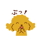 トイプードル_ハロースタンプ（個別スタンプ：16）