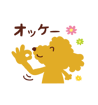 トイプードル_ハロースタンプ（個別スタンプ：17）