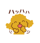トイプードル_ハロースタンプ（個別スタンプ：20）