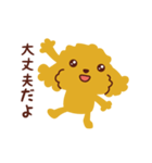 トイプードル_ハロースタンプ（個別スタンプ：31）