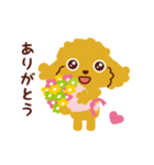 トイプードル_ハロースタンプ（個別スタンプ：32）