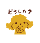 トイプードル_ハロースタンプ（個別スタンプ：33）