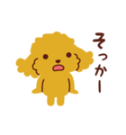 トイプードル_ハロースタンプ（個別スタンプ：34）