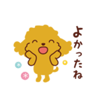 トイプードル_ハロースタンプ（個別スタンプ：35）