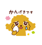 トイプードル_ハロースタンプ（個別スタンプ：36）