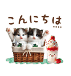 名入れ敬語の癒ししにゃんこ（個別スタンプ：3）