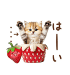 名入れ敬語の癒ししにゃんこ（個別スタンプ：6）