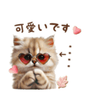 名入れ敬語の癒ししにゃんこ（個別スタンプ：27）