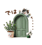 名入れ敬語の癒ししにゃんこ（個別スタンプ：34）