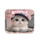 動く！かわいい猫たち ずっと使える 日常（個別スタンプ：9）