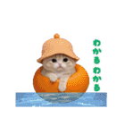 動く！かわいい猫たち ずっと使える 日常（個別スタンプ：18）