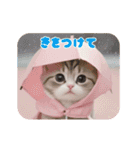 動く！かわいい猫たち ずっと使える 日常（個別スタンプ：20）