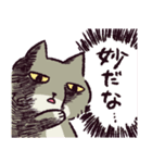 名探偵チベスナ（個別スタンプ：13）