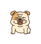 ブサかわブルドッグ（個別スタンプ：2）