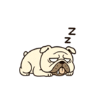 ブサかわブルドッグ（個別スタンプ：7）