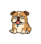 ブサかわブルドッグ（個別スタンプ：14）