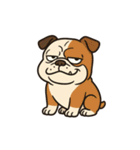 ブサかわブルドッグ（個別スタンプ：20）