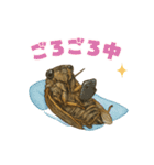 蝉【セミ】のスタンプ（個別スタンプ：27）