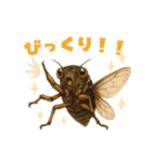 蝉【セミ】のスタンプ（個別スタンプ：30）