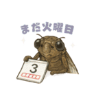 蝉【セミ】のスタンプ（個別スタンプ：33）