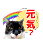 ミツ夫さんの日常会話 初夏・梅雨ver.（個別スタンプ：4）