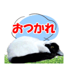 ミツ夫さんの日常会話 初夏・梅雨ver.（個別スタンプ：7）