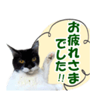 ミツ夫さんの日常会話 初夏・梅雨ver.（個別スタンプ：8）
