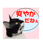 ミツ夫さんの日常会話 初夏・梅雨ver.（個別スタンプ：9）