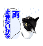 ミツ夫さんの日常会話 初夏・梅雨ver.（個別スタンプ：11）