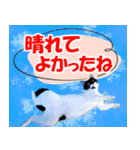 ミツ夫さんの日常会話 初夏・梅雨ver.（個別スタンプ：13）