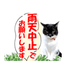 ミツ夫さんの日常会話 初夏・梅雨ver.（個別スタンプ：15）
