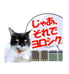 ミツ夫さんの日常会話 初夏・梅雨ver.（個別スタンプ：19）