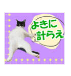 ミツ夫さんの日常会話 初夏・梅雨ver.（個別スタンプ：20）