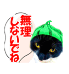 ミツ夫さんの日常会話 初夏・梅雨ver.（個別スタンプ：21）