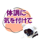 ミツ夫さんの日常会話 初夏・梅雨ver.（個別スタンプ：22）