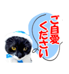 ミツ夫さんの日常会話 初夏・梅雨ver.（個別スタンプ：23）