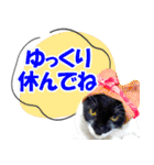 ミツ夫さんの日常会話 初夏・梅雨ver.（個別スタンプ：24）