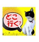 ミツ夫さんの日常会話 初夏・梅雨ver.（個別スタンプ：25）